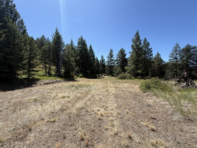 135 Slippery Hill Ln, Republic, WA 99166 - photo 10