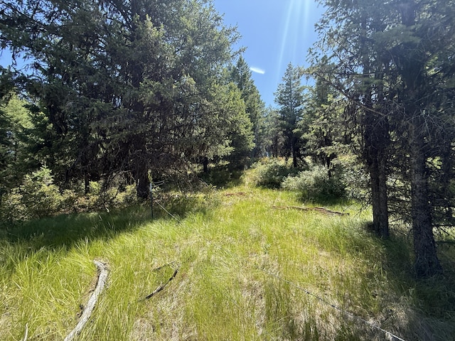 135 Slippery Hill Ln, Republic, WA 99166 - photo 1