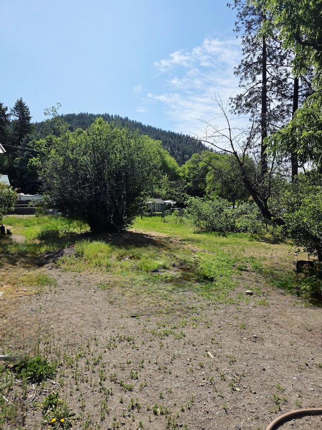 1387 Addy-Main St, Addy, WA 99101 - photo 4