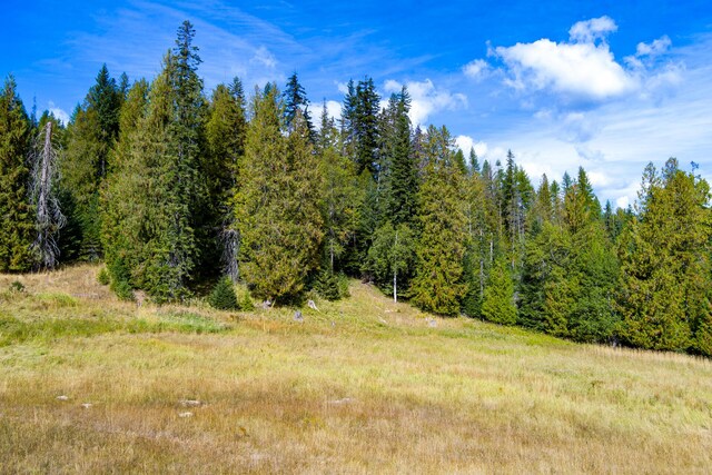 1873 Greenhouse Rd, Ione, WA 99139 - view of local wilderness