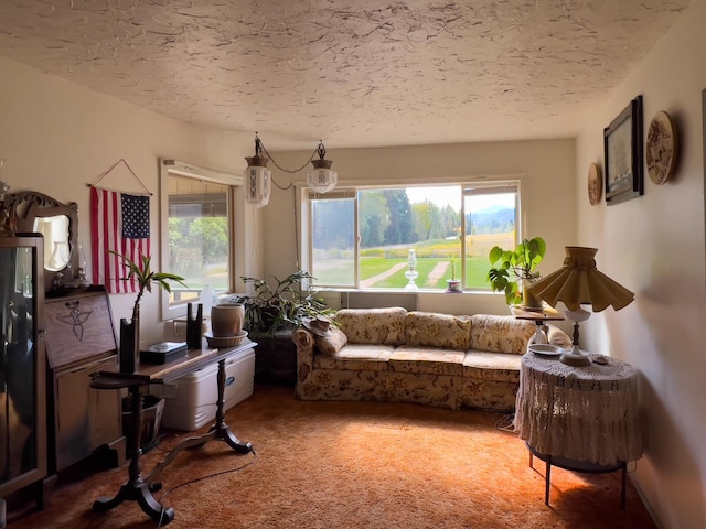 living area with carpet and a textured ceiling