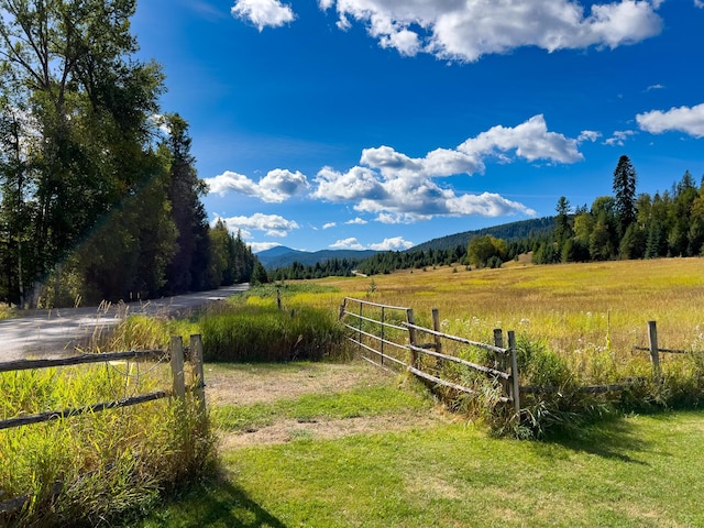 view of yard featuring a mountain view and a rural view