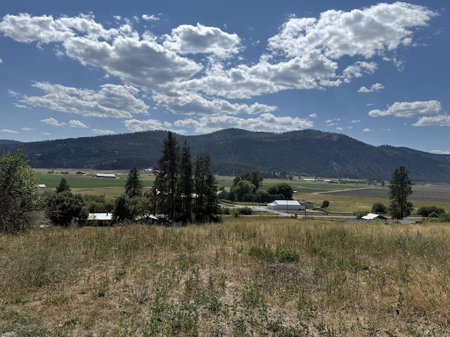 708 N Ridge St, Chewelah, WA 99109 - photo 2