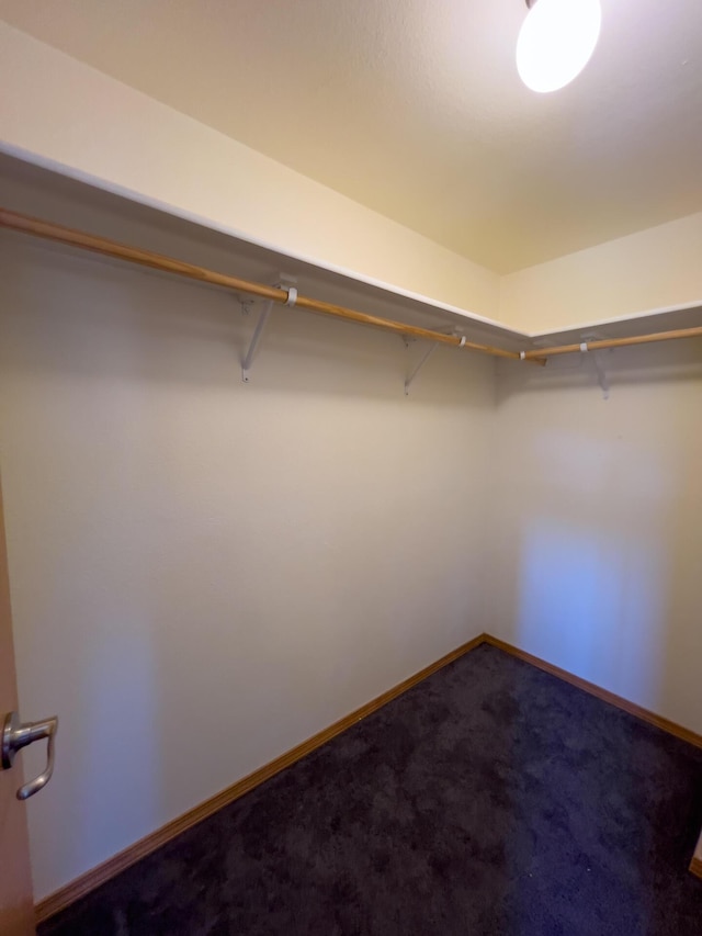 spacious closet featuring dark colored carpet