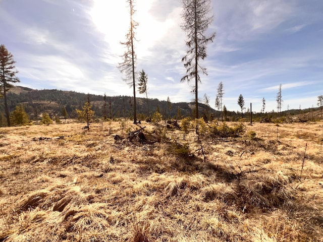 view of nature featuring a rural view