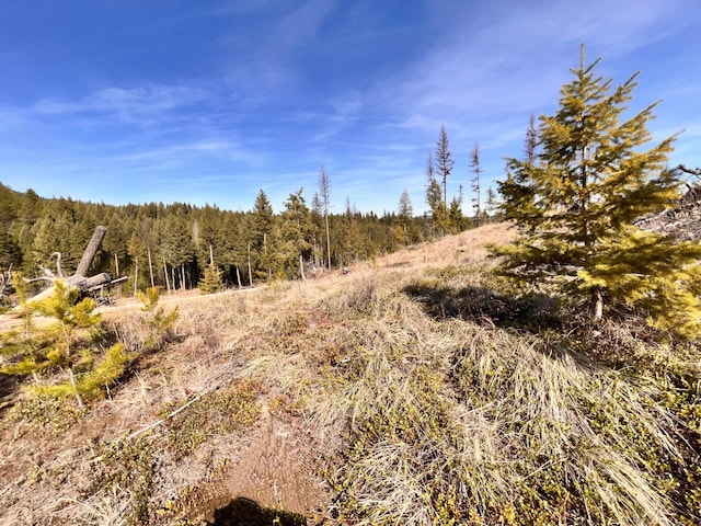 view of local wilderness