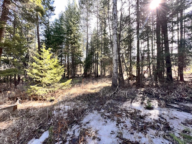 view of local wilderness