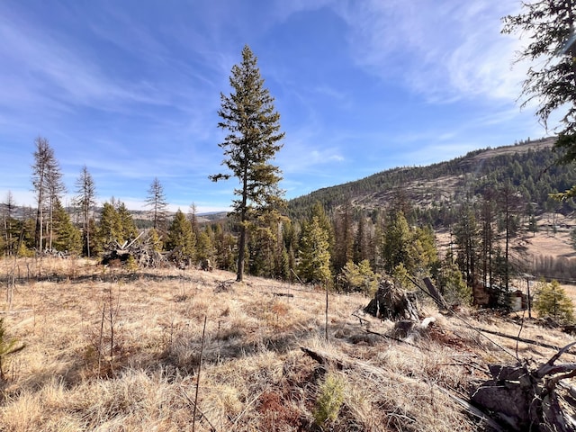 view of mountain feature