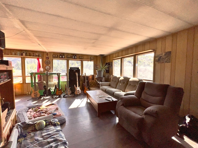 living room with hardwood / wood-style floors, wooden walls, and a wealth of natural light