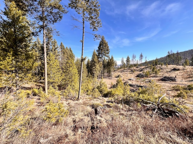 view of local wilderness