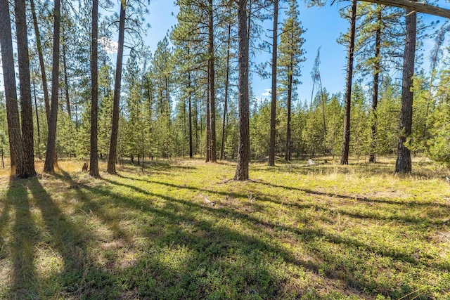 3792 E Jump Off Rd Unit P, Valley WA, 99181 land for sale