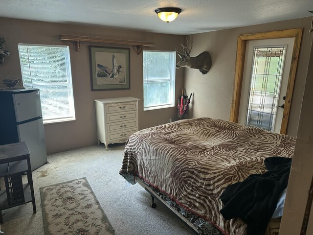 33427 Darrin Rd, Valley, WA 99181 - photo 34