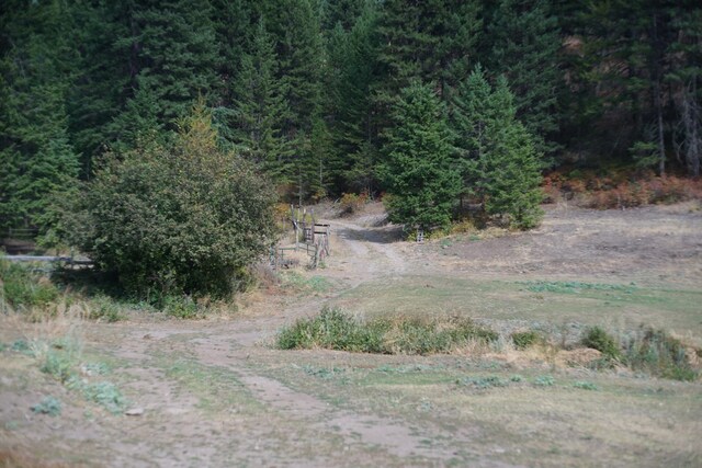 TBD Wellman Rd, Republic, WA 99166 - photo 7