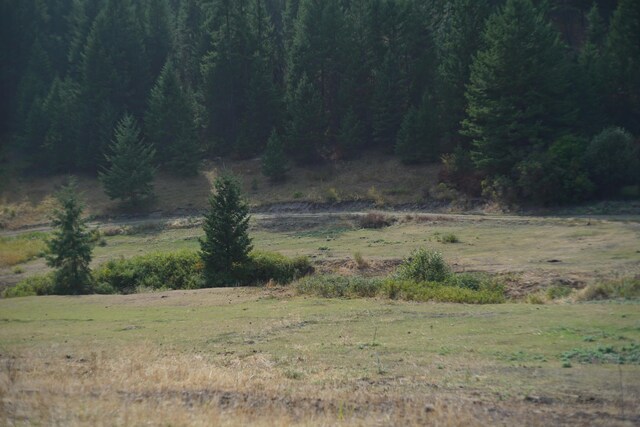 TBD Wellman Rd, Republic, WA 99166 - photo 5