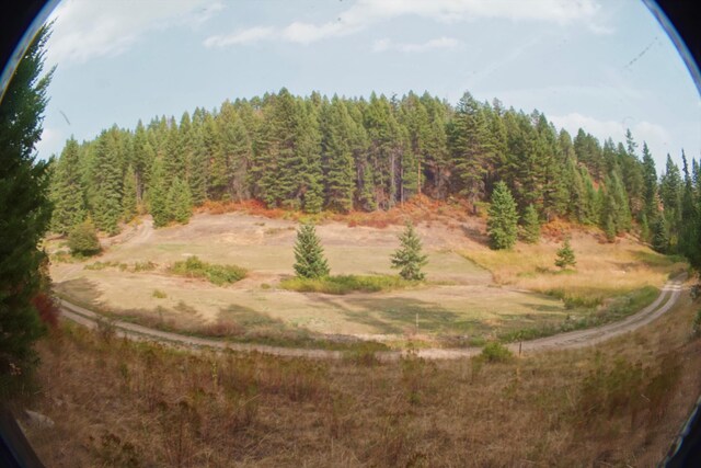 TBD Wellman Rd, Republic, WA 99166 - photo 15