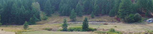 TBD Wellman Rd, Republic, WA 99166 - photo 17