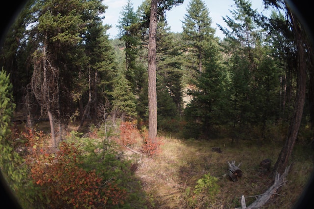 TBD Wellman Rd, Republic, WA 99166 - photo 10