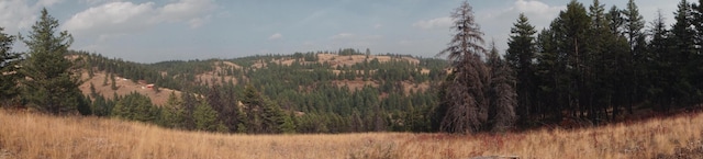 TBD Wellman Rd, Republic, WA 99166 - photo 18
