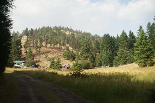 TBD Wellman Rd, Republic, WA 99166 - photo 2