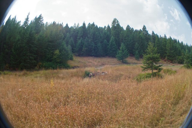 TBD Wellman Rd, Republic, WA 99166 - photo 11
