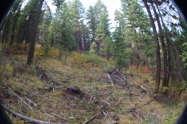 TBD Wellman Rd, Republic, WA 99166 - photo 16