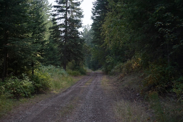 TBD Wellman Rd, Republic, WA 99166 - photo 9