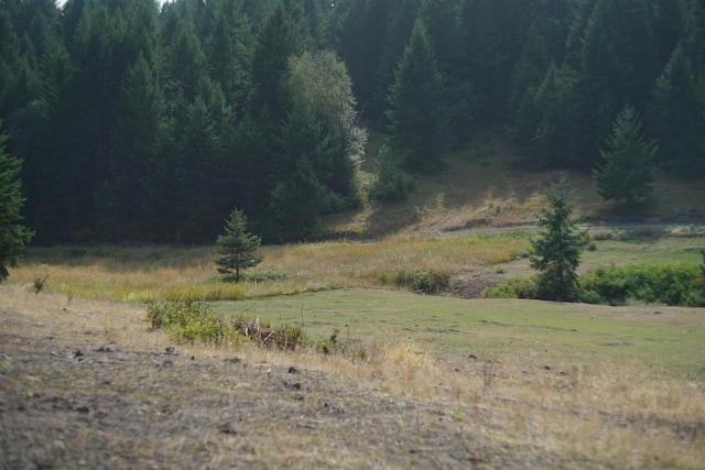 TBD Wellman Rd, Republic, WA 99166 - photo 4