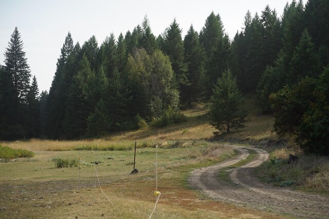TBD Wellman Rd, Republic, WA 99166 - photo 3