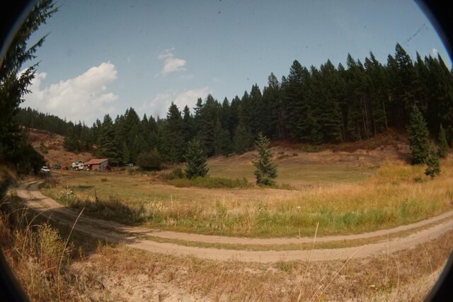 TBD Wellman Rd, Republic, WA 99166 - photo 13