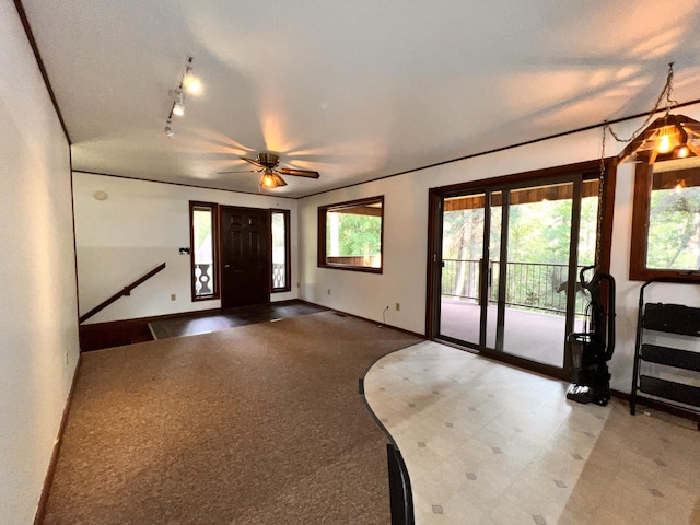 foyer entrance featuring rail lighting and carpet