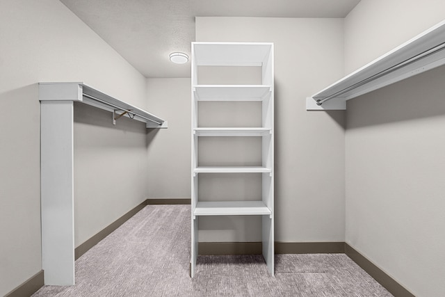 231 Hogans Way, Chewelah, WA 99109 - walk in closet with carpet floors