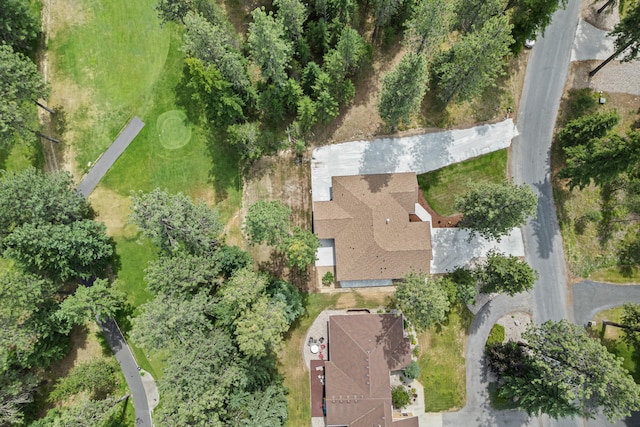 231 Hogans Way, Chewelah, WA 99109 - aerial overview of property's location
