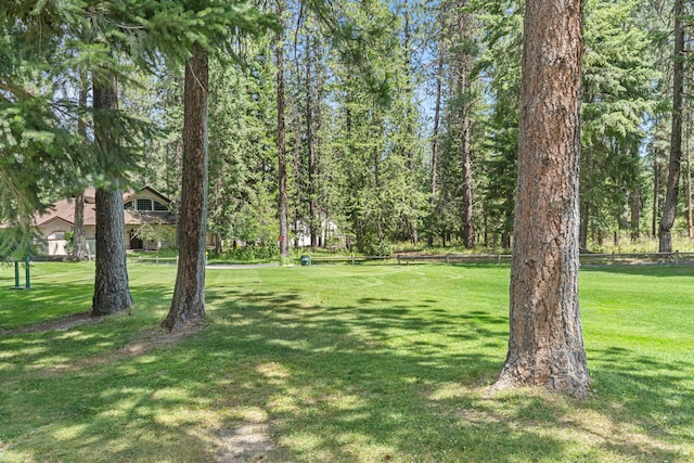231 Hogans Way, Chewelah, WA 99109 - view of green lawn