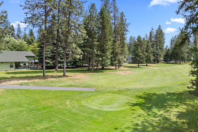 231 Hogans Way, Chewelah, WA 99109 - surrounding community featuring golf course view, a yard, and view of scattered trees
