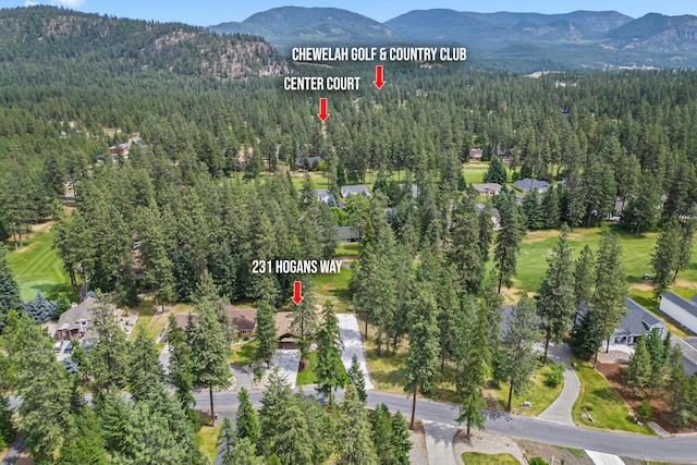 231 Hogans Way, Chewelah, WA 99109 - aerial view of property's location with a mountain backdrop and a forest