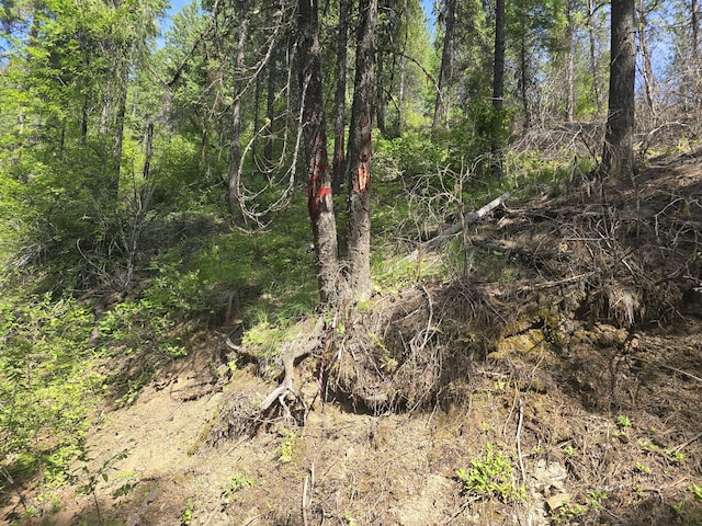 37XX Red Marble Rd, Valley, WA 99181