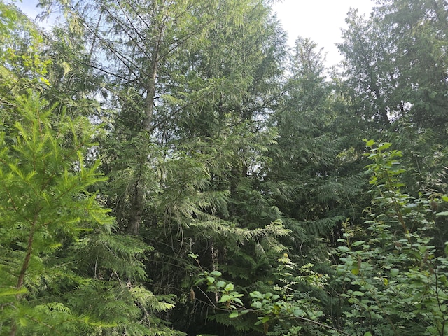 37XX Red Marble Rd, Valley, WA 99181