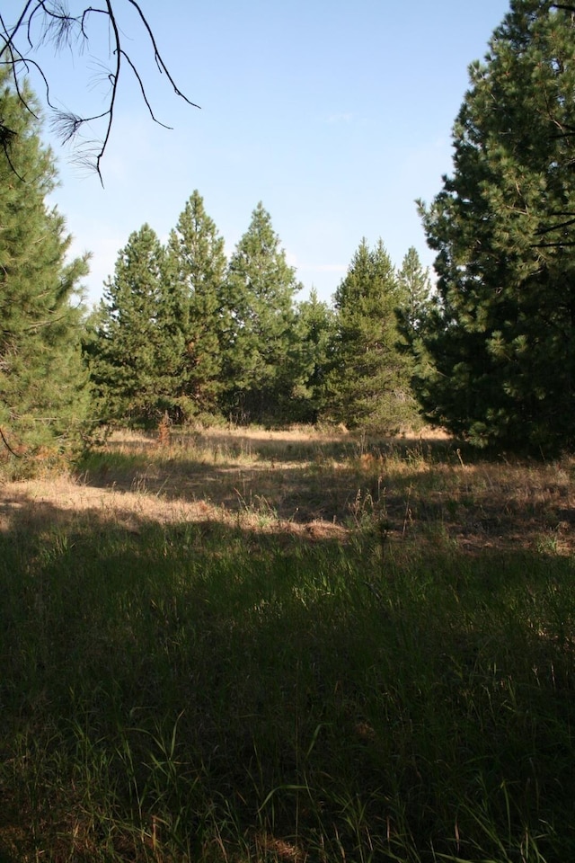 40425-A N Sherman Rd, Deer Park, WA 99006 - photo 46