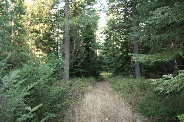 40425-A N Sherman Rd, Deer Park, WA 99006 - photo 44