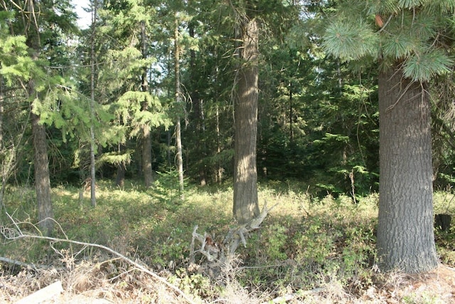40425-A N Sherman Rd, Deer Park, WA 99006 - photo 42