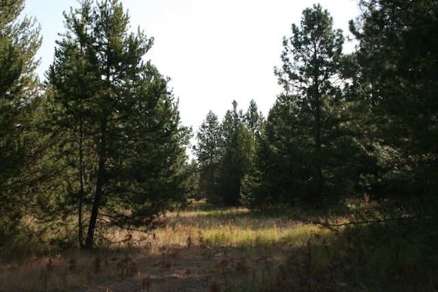 40425-A N Sherman Rd, Deer Park, WA 99006 - photo 48