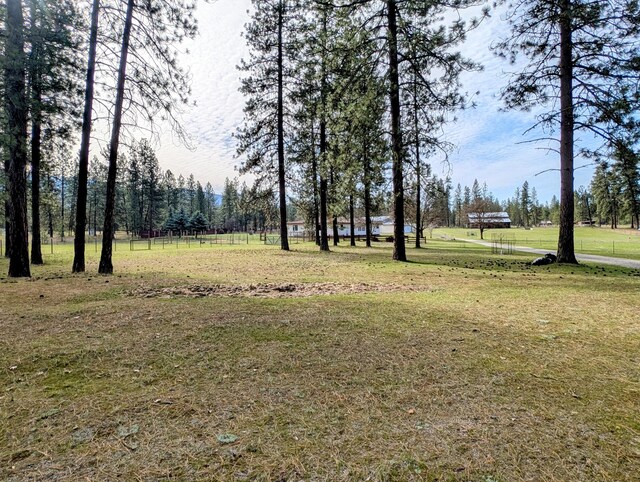28 Enzyme Ln, Kettle Falls, WA 99141 - photo 50