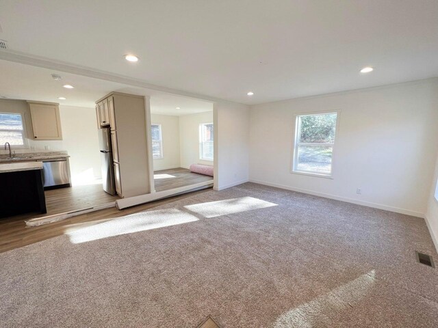 1388 Ponderosa Way, Kettle Falls, WA 99141 - unfurnished living room with a sink, light colored carpet, and a healthy amount of sunlight
