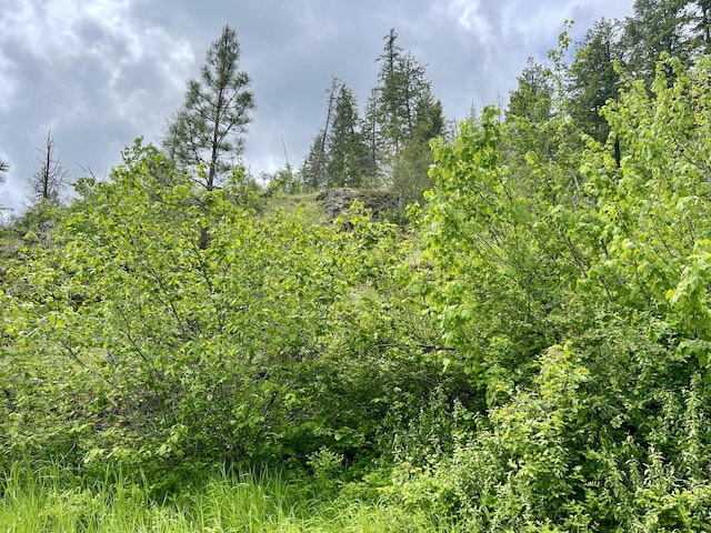 842LOT5 Valley-Westside Rd, Colville, WA 99114 - photo 14