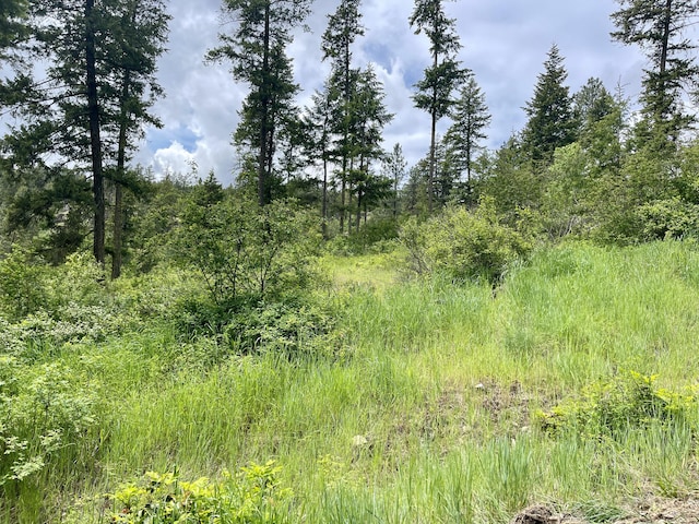 842LOT5 Valley-Westside Rd, Colville, WA 99114 - photo 8
