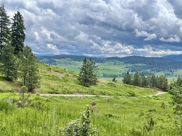 842LOT5 Valley-Westside Rd, Colville, WA 99114 - photo 5