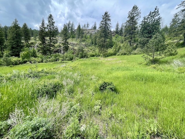 842LOT5 Valley-Westside Rd, Colville, WA 99114 - photo 4