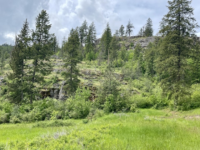842LOT5 Valley-Westside Rd, Colville, WA 99114 - photo 3