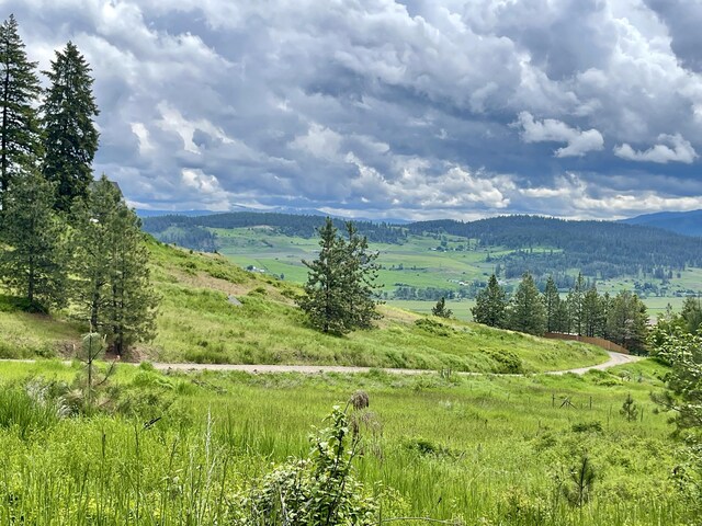 Listing photo 2 for 842LOT5 Valley-Westside Rd, Colville WA 99114