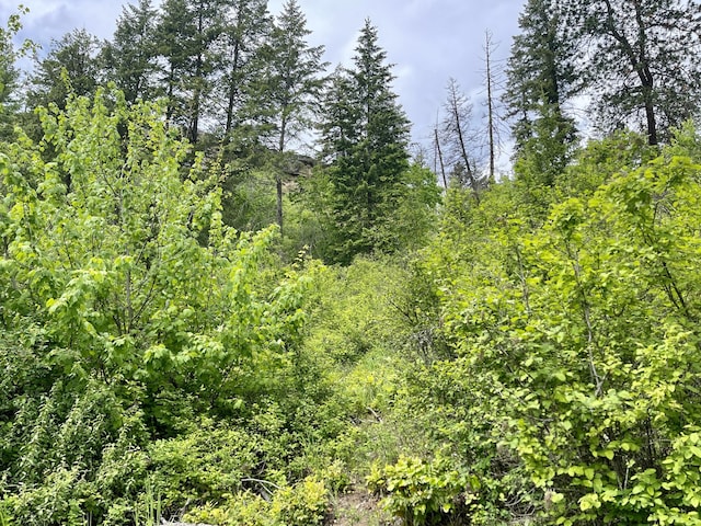 842LOT5 Valley-Westside Rd, Colville, WA 99114 - photo 13